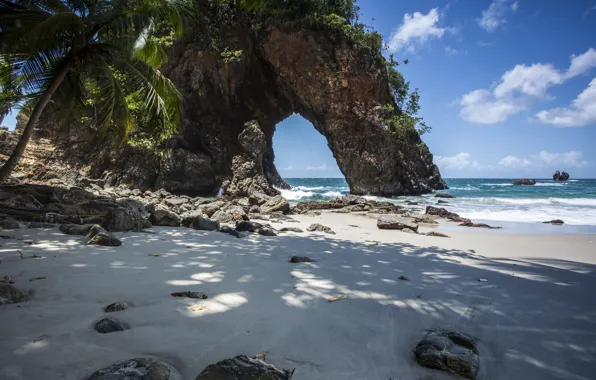 Beach, stones, palm trees, rocks
