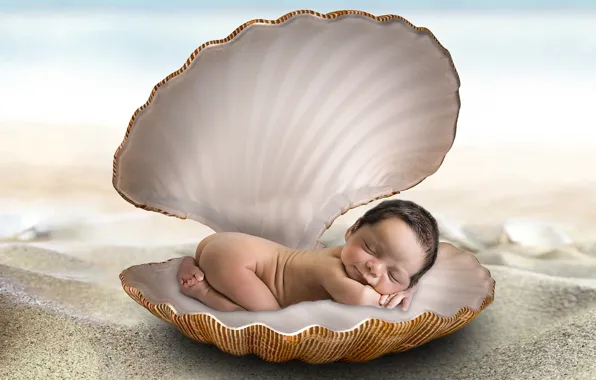 Picture collage, shell, baby