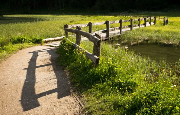 Road, field, landscape, river, the fence