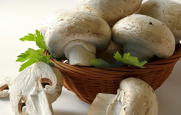 Basket, mushrooms, seignory
