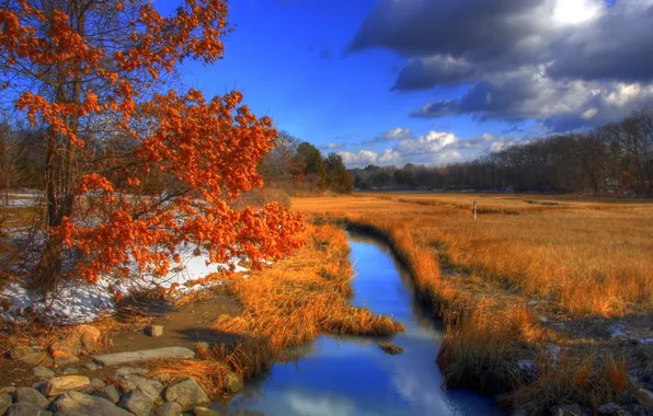 Autumn, river, hammonasset state park