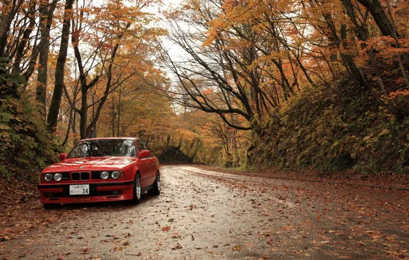Autumn, leaves, BMW, bmw. red