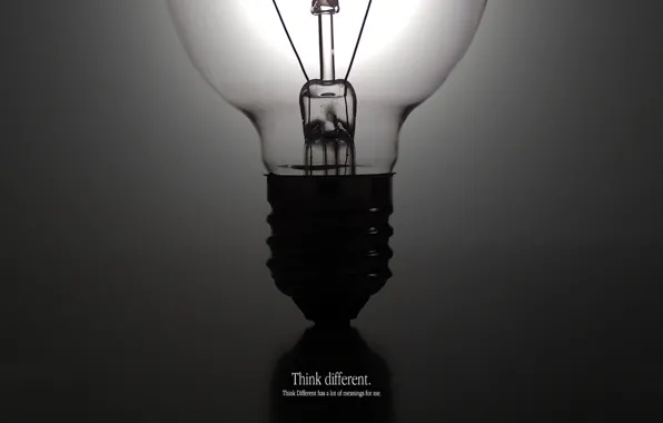 Picture life, lamp, all, prgoram