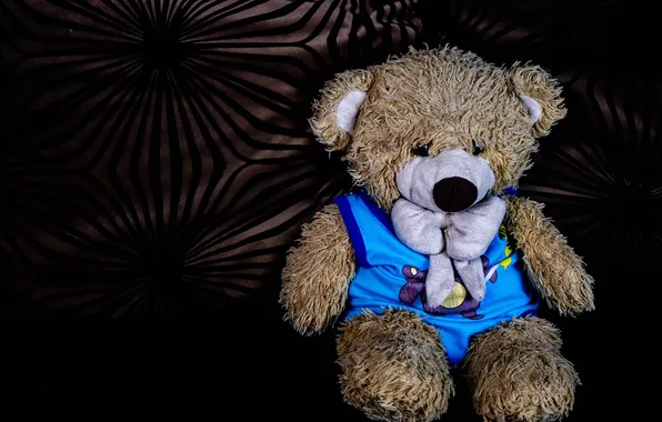 The dark background, sofa, clothing, toy, bear, bear, bear, bow