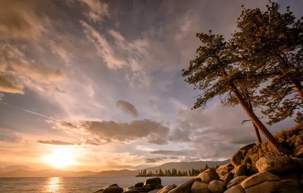 Picture landscape, sunset, lake, tree