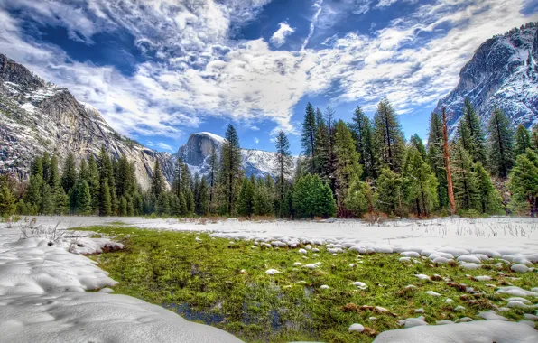 Picture winter, forest, the sky, clouds, snow, trees, mountains, CA