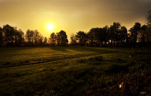 The sky, leaves, trees, sunrise, earth, shadow