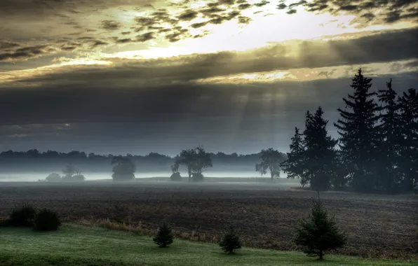 Picture field, landscape, sunset, fog