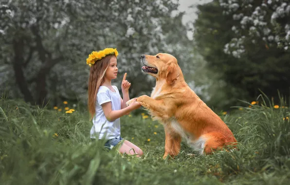 Summer, nature, pose, Park, glade, paw, dog, girl