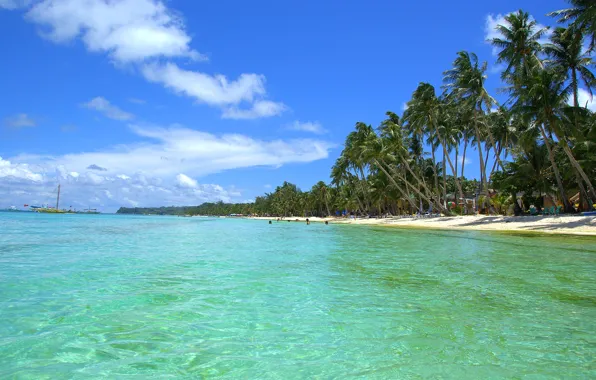 Sea, the sky, tropics, palm trees, shore, ship, yacht, the Maldives