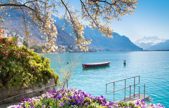 Picture Switzerland, lake, Montreux
