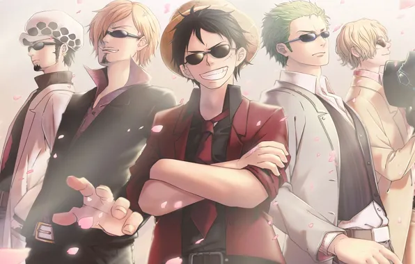 Picture anime, One Piece, art, guy