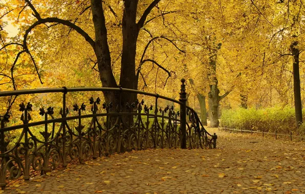 Autumn, leaves, trees, Park