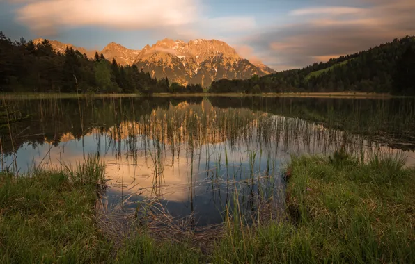 Picture forest, summer, the sky, grass, water, clouds, landscape, mountains