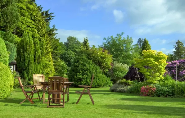 The sky, clouds, trees, landscape, flowers, nature, table, lawn