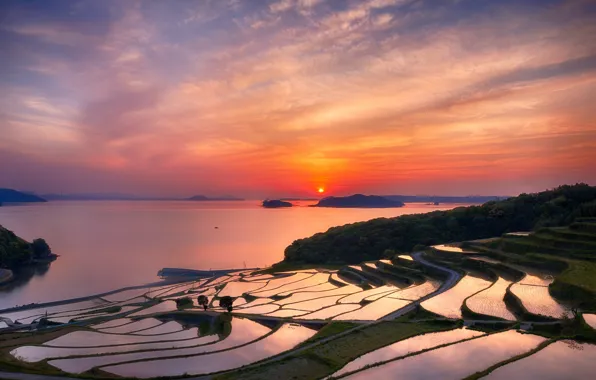 The sky, the sun, clouds, sunset, the evening, Japan, figure, terrace