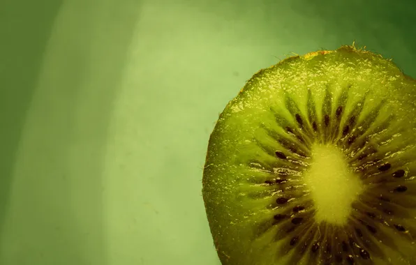 Macro, food, kiwi, fruit, green background, macro, kiwi