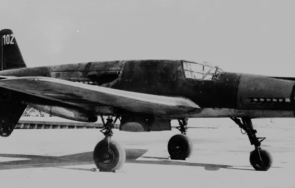 Photo, black and white, fighter, German, Dornier, twin-engine, Arrow, tandem