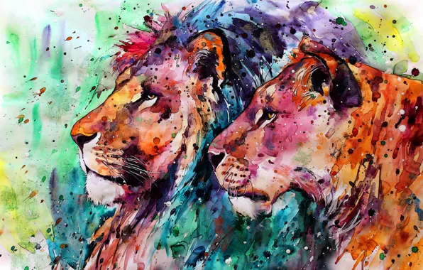 Picture lioness, Leo, profile, background