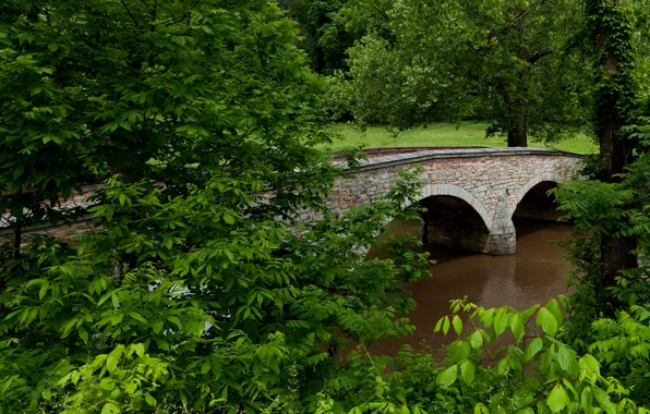 Forest, trees, landscape, bridge, Park, river, USA, Maryland