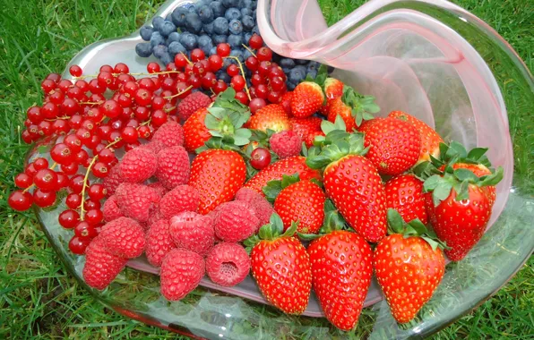 Berries, raspberry, blueberries, strawberry, currants