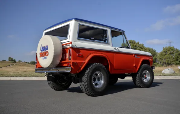 Picture Ford, 1971, body, Wagon, Bronco, Baja Edition, Stroppe