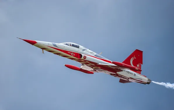 The plane, flies, the rise, Northrop F-5