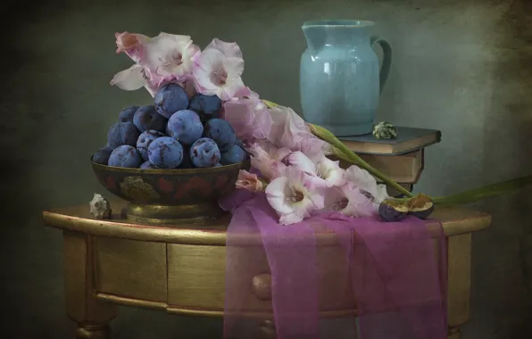 Texture, shell, pitcher, still life, plum, gladiolus