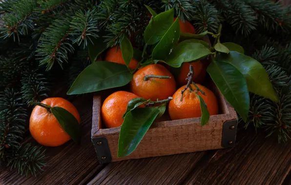 Decoration, New Year, Christmas, Christmas, wood, fruit, New Year, tangerines