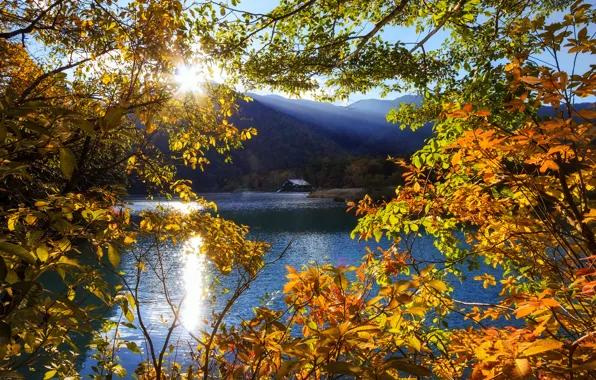 Picture the sun, rays, trees, mountains, lake, Japan, Tochigi, Nikko
