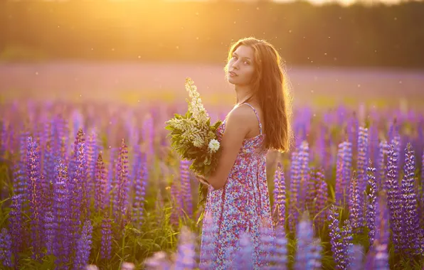 Picture summer, look, girl, flowers, pose, mood, bouquet, meadow