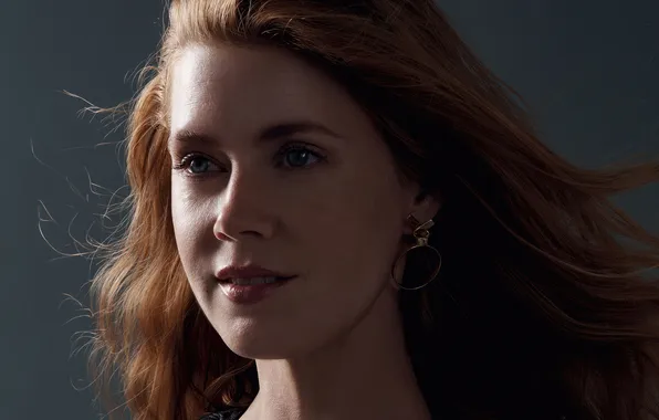 Portrait, makeup, actress, hairstyle, brown hair, beauty, Amy Adams, Amy Adams