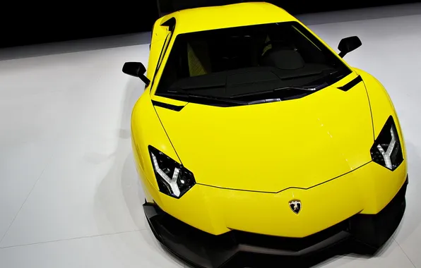 Picture supercar, yellow, 2014 Lamborghini Aventador, LP720-4 50, Anniversario Edition