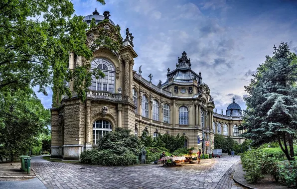 Picture the sky, trees, Park, castle, overcast, Hungary, Hungary, Budapest