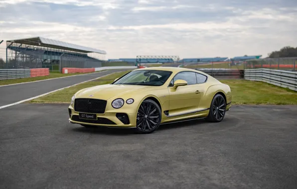 Continental, bentley, yellow, speed, racing, 2021