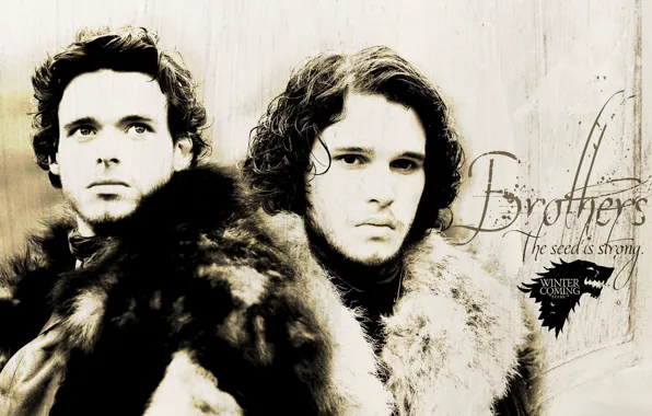 Picture Game of thrones, Jon Snow, Jon Snow, Game of thrones, Rob Stark, Rob Stark