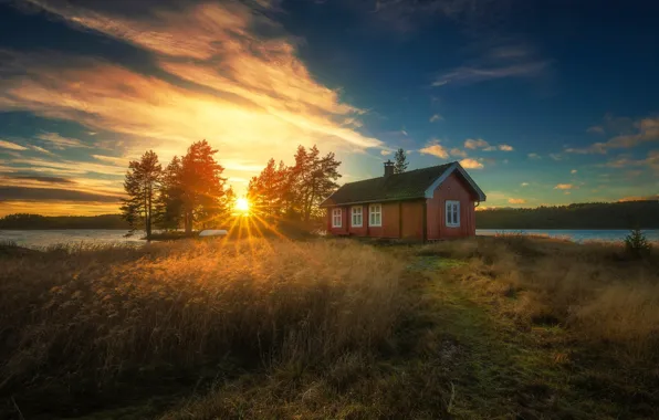 Forest, the sky, the sun, rays, lake, house, dawn, Norway