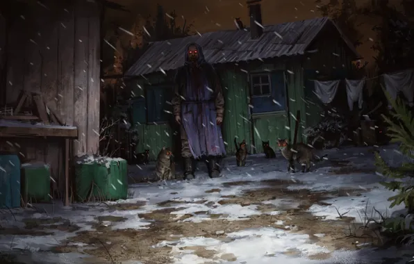 Winter, Night, Snow, Cats, Grandma, Fantasy, Horror, Cat