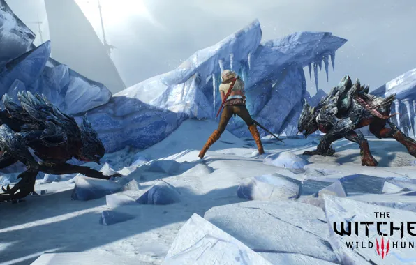 The Witcher, The Witcher 3 Wild Hunt, CRIS