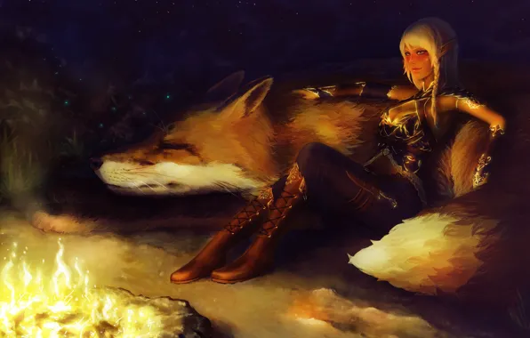 Picture look, night, pose, animal, the fire, fantasy, art, Fox