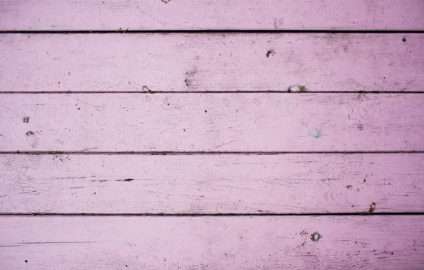 Trees, background, texture, pink tree, wooden background, potion