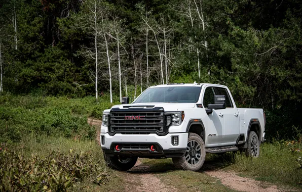 White, trees, vegetation, pickup, GMC, Sierra, AT4, 2020