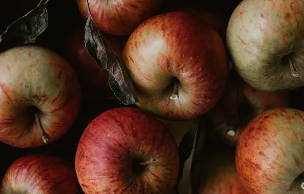 Close-up, the dark background, apples, a lot