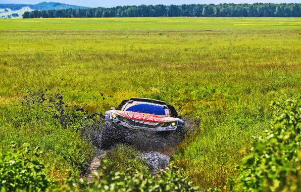 Nature, Field, Sport, Speed, Race, The way, Dirt, Day