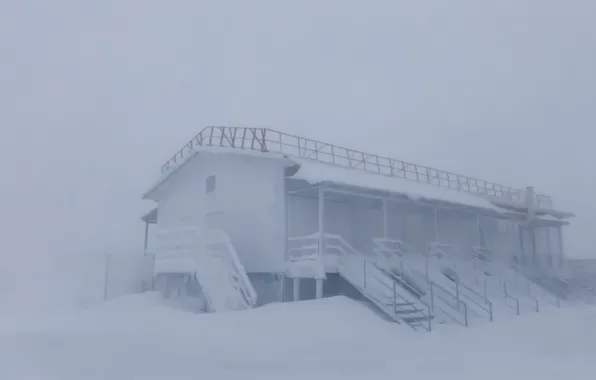 Cold, winter, snow, North, Blizzard, YANAO, Brilliant