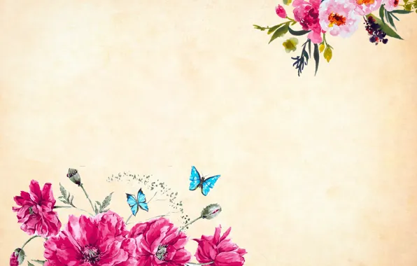 Butterfly, flowers, Background, Texture