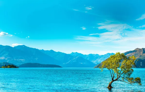 Picture trees, mountains, lake, mountains, lake, tree