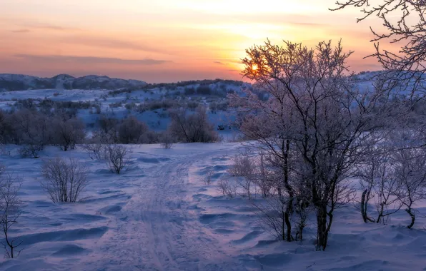 Road, snow, sunset