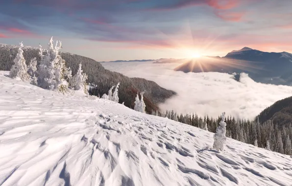 Picture winter, forest, the sky, the sun, clouds, rays, snow, mountains