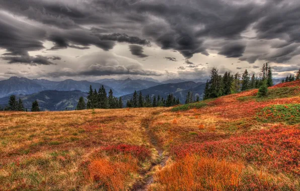 Picture autumn, grass, mountains, clouds, overcast, track, path, yellow